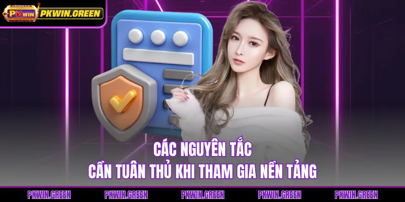 Các nguyên tắc cần tuân thủ khi tham gia nền tảng