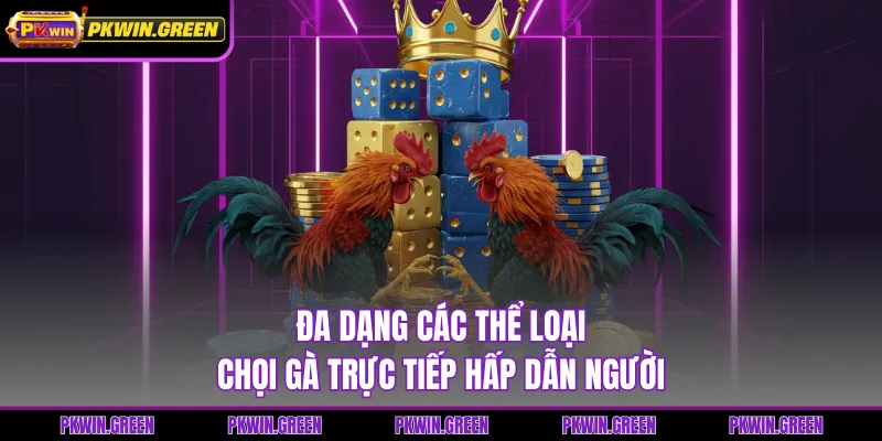 Đa dạng các thể loại chọi gà trực tiếp hấp dẫn người