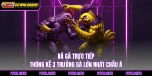 Đá Gà Trực Tiếp - Thống Kê 3 Trường Gà Lớn Nhất Châu Á