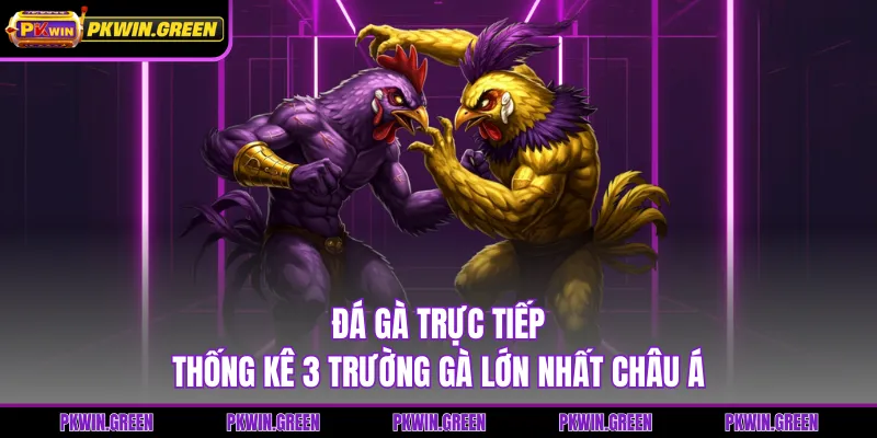 Đá Gà Trực Tiếp - Thống Kê 3 Trường Gà Lớn Nhất Châu Á