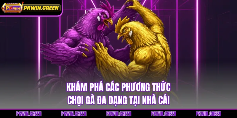 Khám phá các phương thức chọi gà đa dạng tại nhà cái