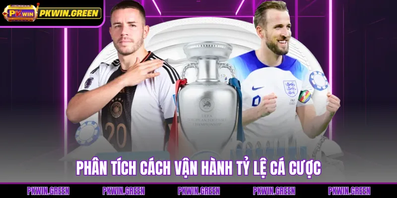 Phân tích cách vận hành tỷ lệ cá cược