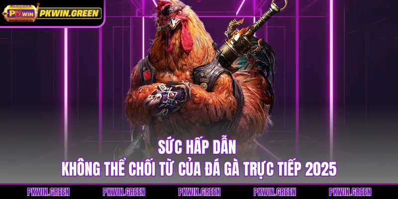 Sức hấp dẫn không thể chối từ của đá gà trực tiếp 2025