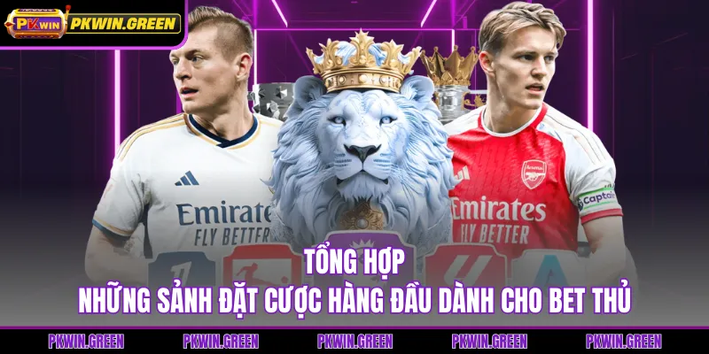 Tổng hợp những sảnh đặt cược hàng đầu dành cho bet thủ